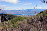photo thumbnail #6