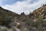 photo thumbnail #12