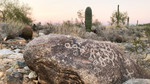 photo thumbnail #13