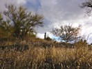 photo thumbnail #3