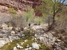 photo thumbnail #3