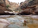 photo thumbnail #12
