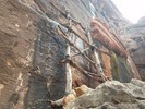 photo thumbnail #15