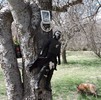 photo thumbnail #2