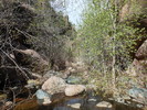 photo thumbnail #5