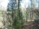 photo thumbnail #6