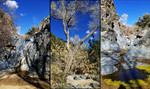 photo thumbnail #6