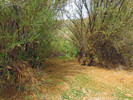photo thumbnail #7