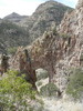 photo thumbnail #8