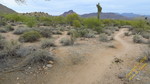 photo thumbnail #1