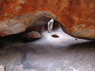 photo thumbnail #11