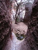 photo thumbnail #12
