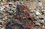 photo thumbnail #9