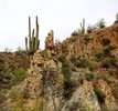 photo thumbnail #12