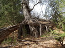 photo thumbnail #10