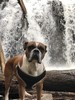 photo thumbnail #2