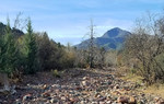 photo thumbnail #1