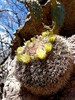 photo thumbnail #9
