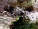 photo thumbnail #14