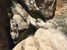 photo thumbnail #10