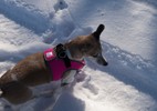 photo thumbnail #5