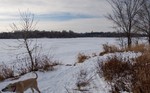 photo thumbnail #2
