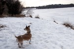 photo thumbnail #5