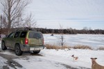 photo thumbnail #2