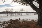 photo thumbnail #3