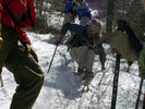 photo thumbnail #11