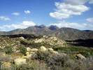 photo thumbnail #14