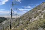 photo thumbnail #6
