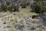 photo thumbnail #8