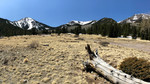 photo thumbnail #3