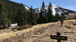 photo thumbnail #10