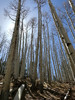 photo thumbnail #12