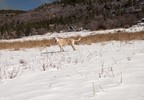 photo thumbnail #10