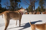 photo thumbnail #2