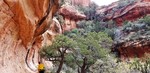 photo thumbnail #5