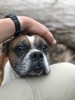 photo thumbnail #6