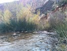 photo thumbnail #11