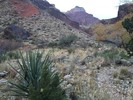 photo thumbnail #15