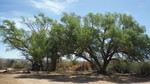 photo thumbnail #8