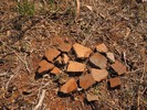photo thumbnail #12