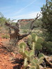 photo thumbnail #5