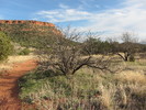 photo thumbnail #11