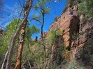 photo thumbnail #13