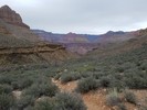 photo thumbnail #10