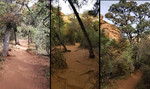 photo thumbnail #1