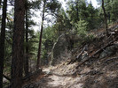 photo thumbnail #3